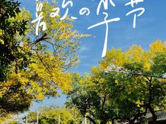 -BE YOLO必有乐&小红帽三明治