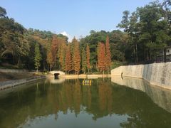 -广州市帽峰山景区