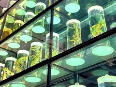 -广东中医药博物馆