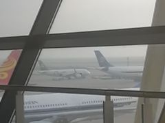 -上海浦东国际机场-T2航站楼
