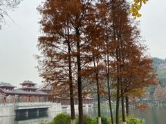 -重庆彩云湖湿地公园