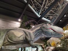 -湖南省地质博物馆