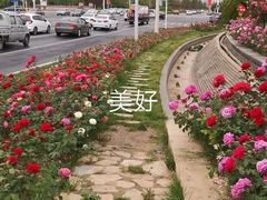 -廊坊文化艺术中心