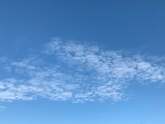 -森林公园(尖草坪区)