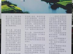 -重庆彩云湖湿地公园