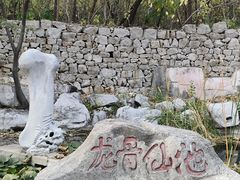 -原山国家森林公园