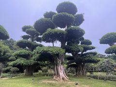 -南宁南湖公园