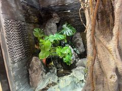 -花间别院(凤凰店)