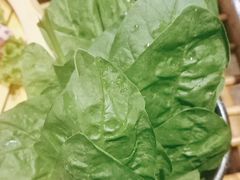 -老牌坊云南鱼豆花火锅(哈西万达店)
