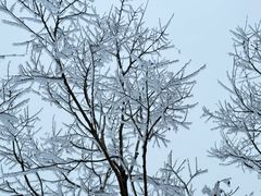 -秦岭终南山世界地质公园翠华山景区