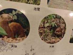 -西湖文化广场