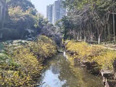 -水绘园