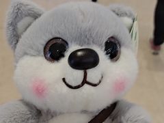 -PAWTOY爪e玩偶店(天兴罗斯福店)