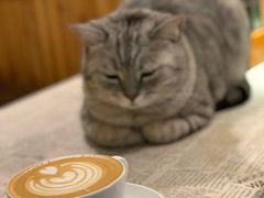 -隅cafe(傅厚岗店)