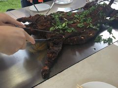 -金谷域澳洲庄园