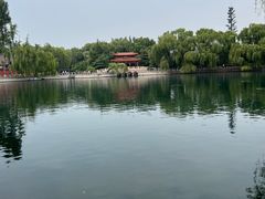-百脉泉景区