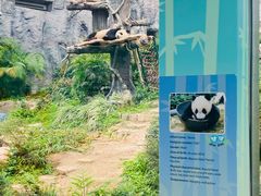 -石排湾郊野公园
