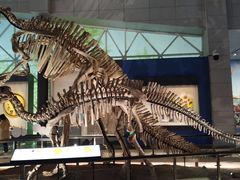 -湖南省地质博物馆