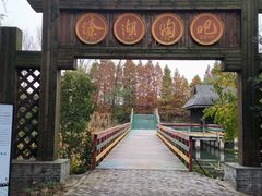 -溱湖国家湿地公园