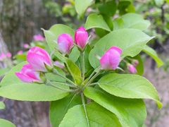 -大兴滨河森林公园