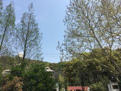 -上海佘山国家森林公园西佘山园