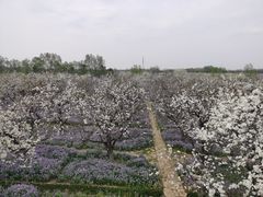 -江苏三台山国家森林公园