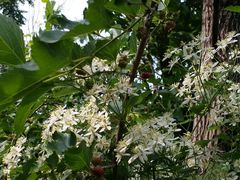 -沈阳辉山风景区