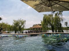 -苏州湾·王焰温泉