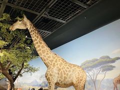 -陕西自然博物馆