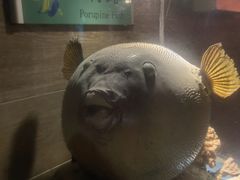 -太平洋海底世界