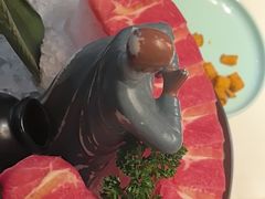 -洪氏嗨捞·猪肚鸡火锅(阳光天地店)