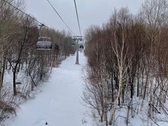 -亚布力新体委滑雪场