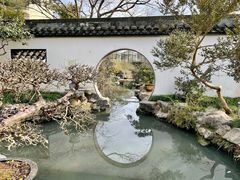 -上海醉白池公园
