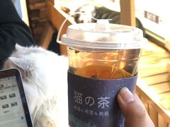 -猫的茶·猫咖