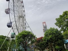 -花博汇(知音花月夜)