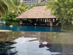 -三亚湾海居铂尔曼度假酒店