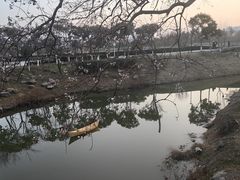 -七桥瓮公园