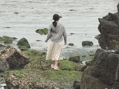 -黑石礁公园