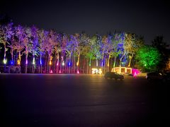 -枫花园汽车电影院(朝阳公园店)