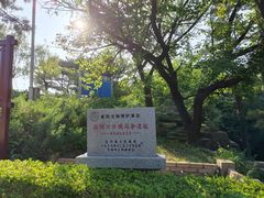 -白玉山景区