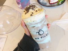 -飞行喵MR PILOT|猫舍·猫咖(静安大融城店)
