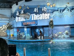 -苏州海洋馆