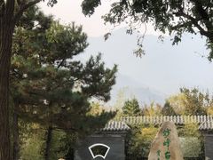 -阳台山自然风景区