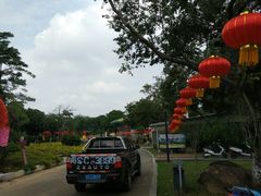 -松山湖梦幻百花洲