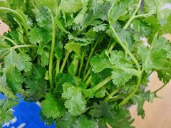 -楼外楼大刀肉传统火锅居(博学路店)