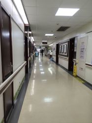 -复旦大学附属妇产科医院(杨浦院区)