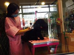 -樱桃家的宠物店(君安花园店)