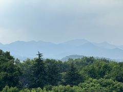 -杭州温德姆至尊豪廷大酒店