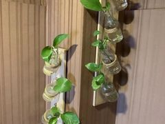 -素心斋素食餐厅