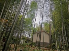 -木子山庄·安徽省老字号·中国炖锅宴